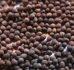 California Poppy Seed